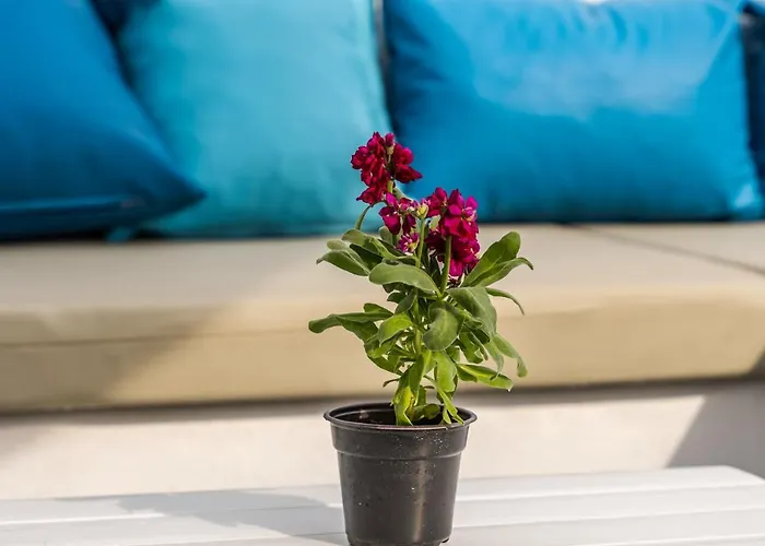 Aether Canava - Heated Pool In The Heart Of Fira Firá